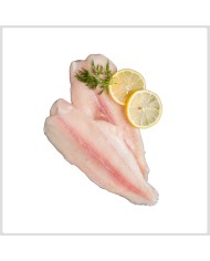 Corvineta 7 / 9 10 kg Caja