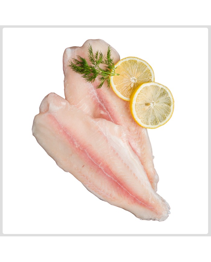 Corvineta 7 / 9 10 kg Caja