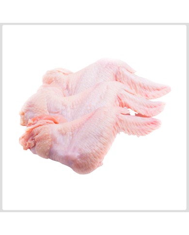 Frozen chicken wings (Straight Cut) 18.14 kg