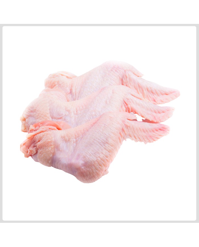 Frozen chicken wings (Straight Cut) 18.14 kg